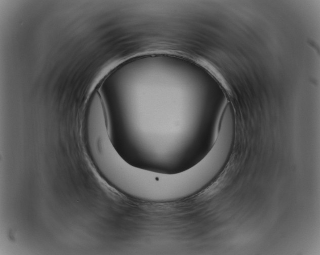 X0000098111101200804251422