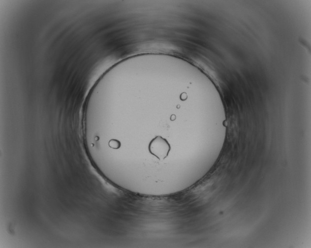 X0000098111103200804251422