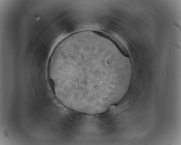 X0000098111104200804251422