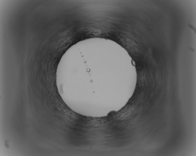 X0000098111105200804251421