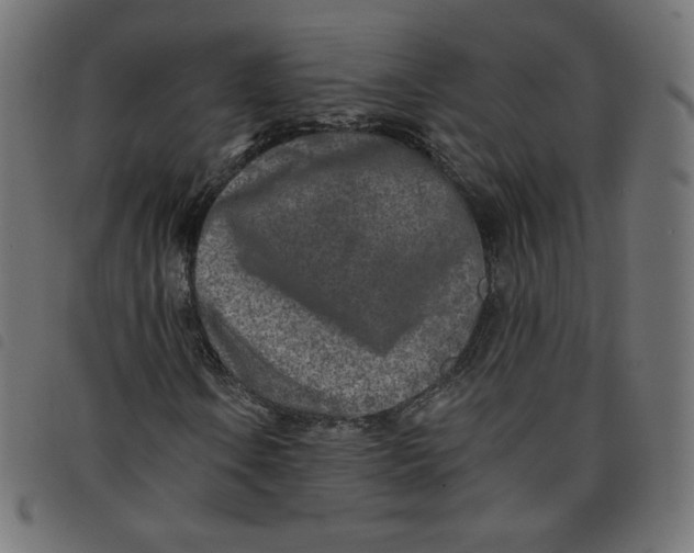 X0000098111106200804251421