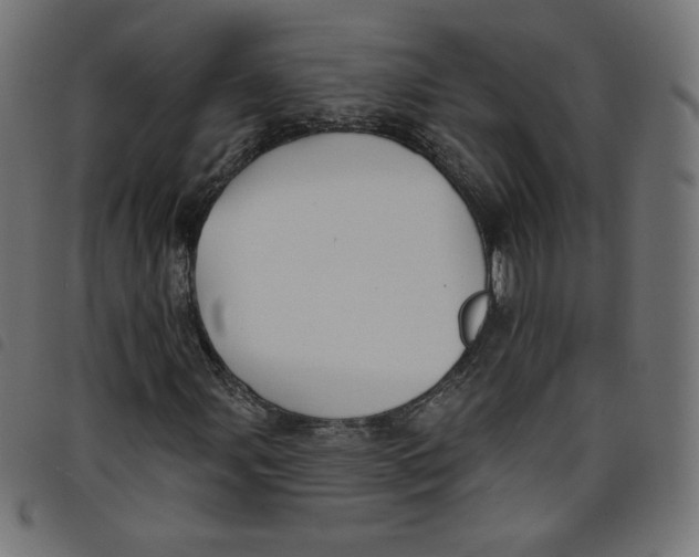 X0000098111107200804251421