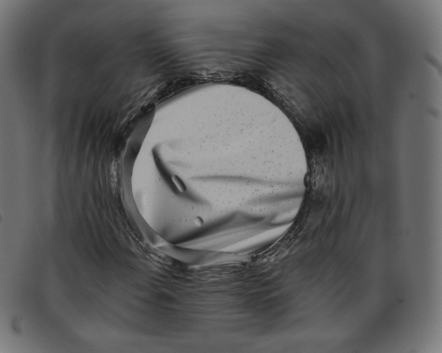 X0000098111108200804251421