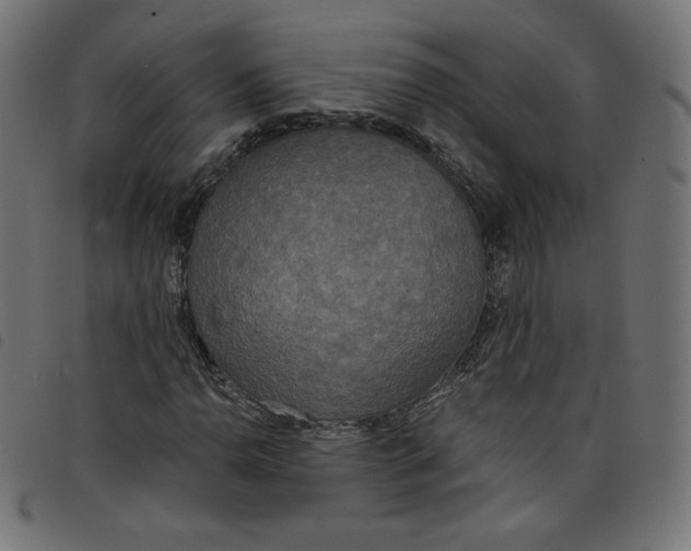 X0000098111110200804251421