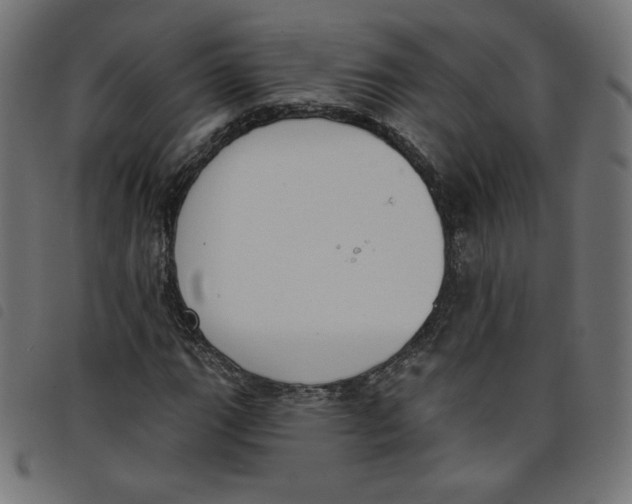 X0000098111111200804251421