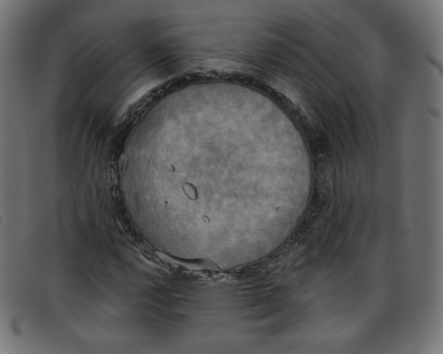 X0000098111112200804251421