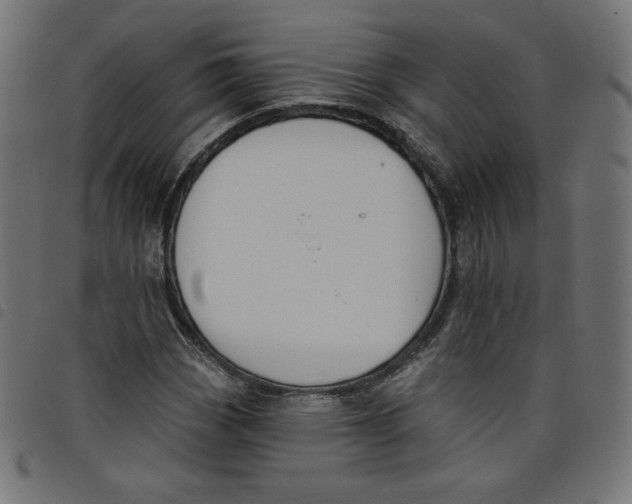 X0000098111113200804251421