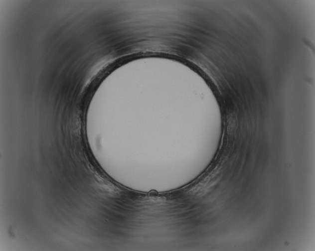 X0000098111115200804251421