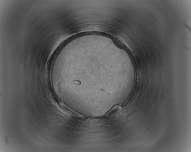 X0000098111116200804251421