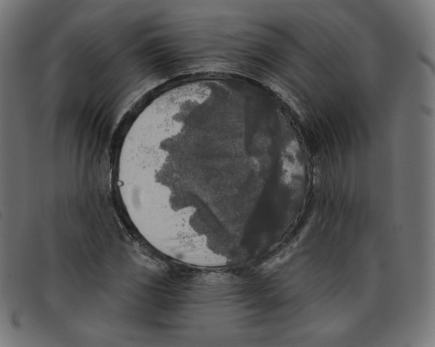 X0000098111117200804251421