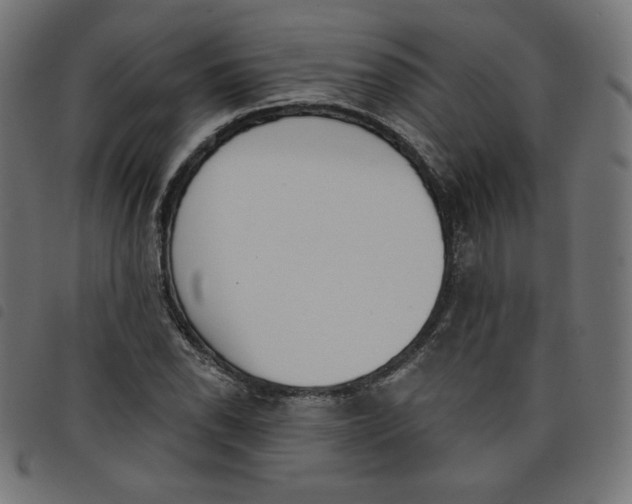 X0000098111118200804251421