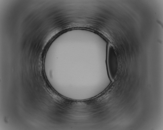 X0000098111119200804251421