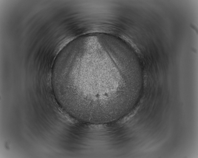 X0000098111121200804251421