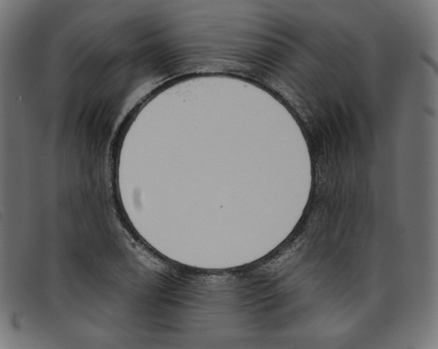 X0000098111122200804251421