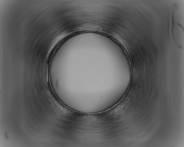 X0000098111123200804251421