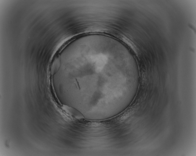 X0000098111124200804251421