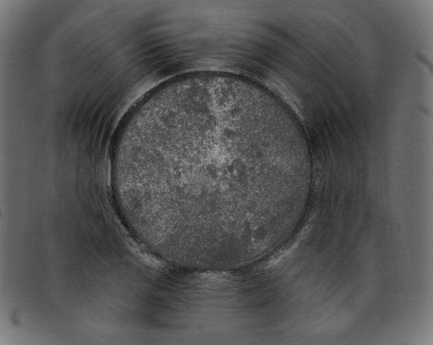 X0000098111125200804251421