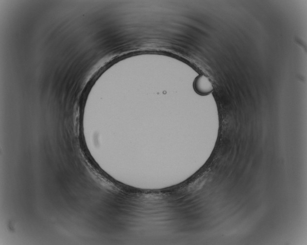 X0000098111126200804251421