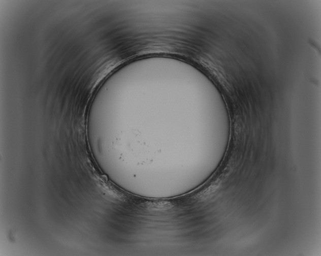 X0000098111129200804251422