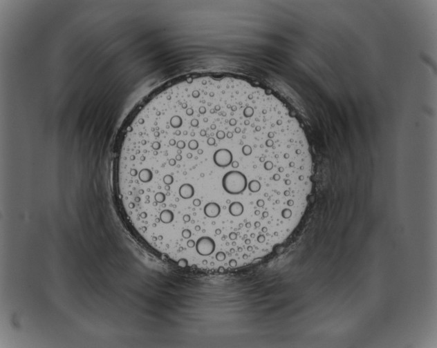 X0000098111130200804251422