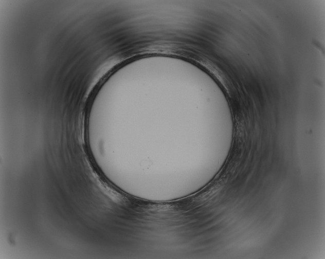 X0000098111131200804251422