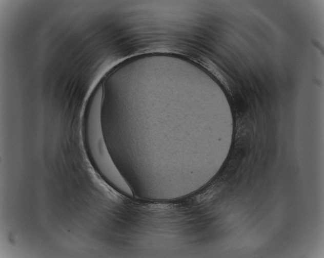 X0000098111132200804251422