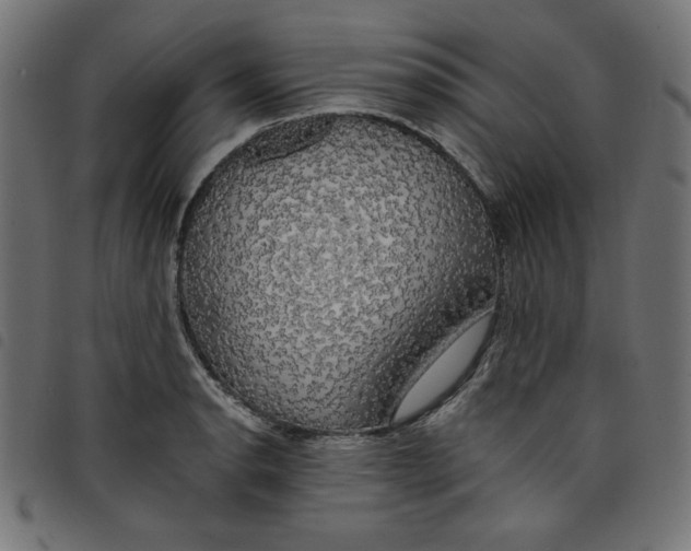 X0000098111134200804251422