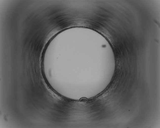 X0000098111135200804251422