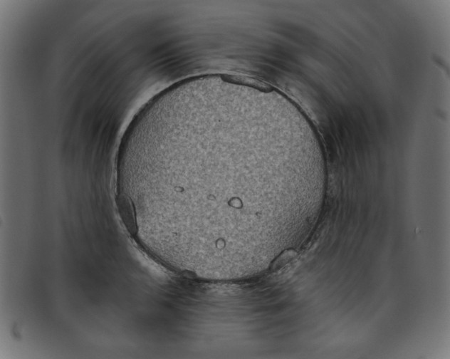 X0000098111136200804251422