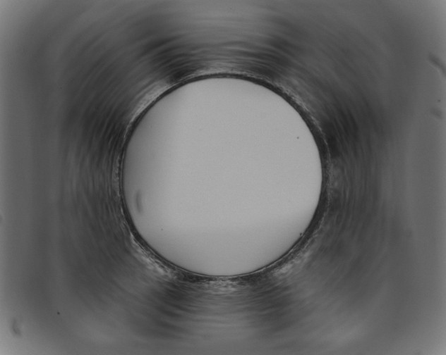 X0000098111137200804251422