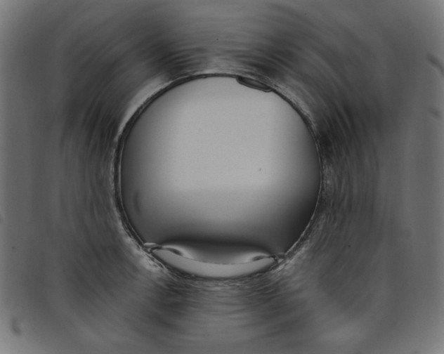 X0000098111138200804251422