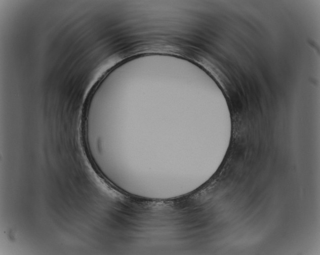 X0000098111139200804251422