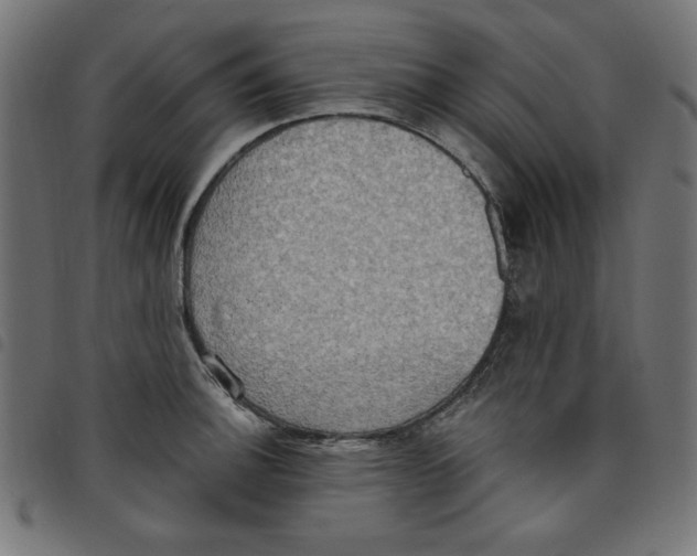 X0000098111140200804251422