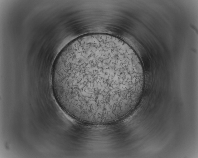 X0000098111141200804251422