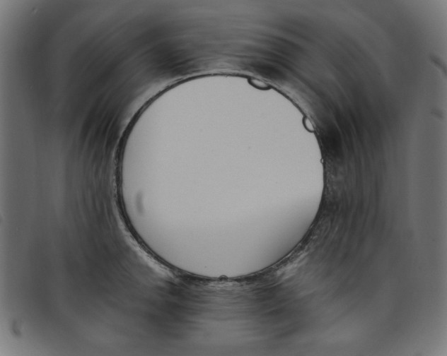 X0000098111142200804251422