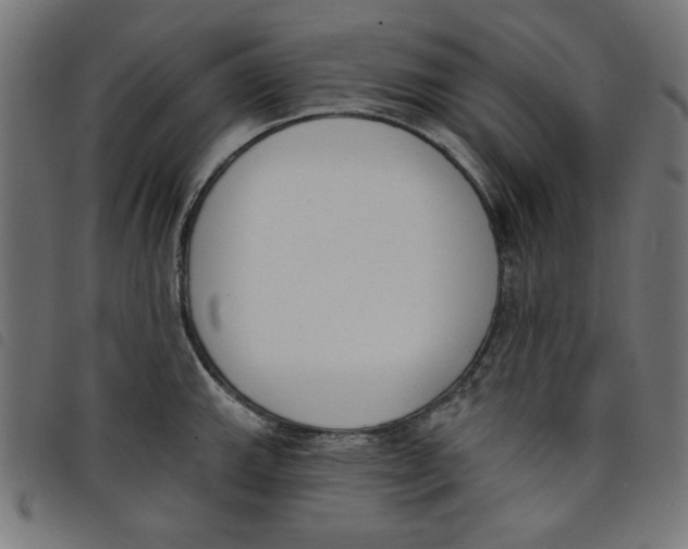 X0000098111143200804251422