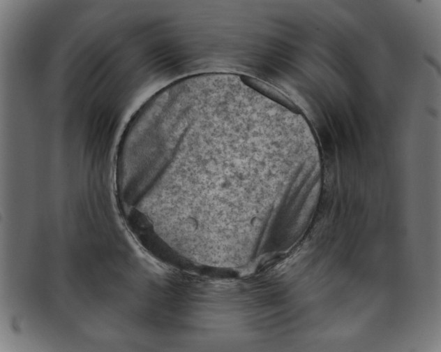 X0000098111144200804251422