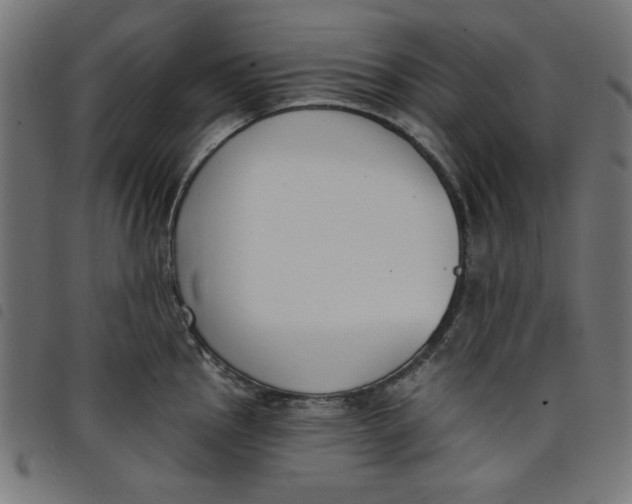 X0000098111145200804251422