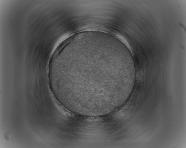 X0000098111146200804251422