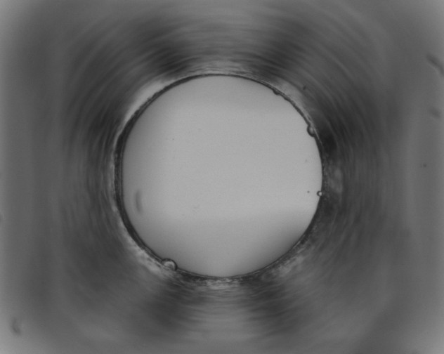 X0000098111147200804251422