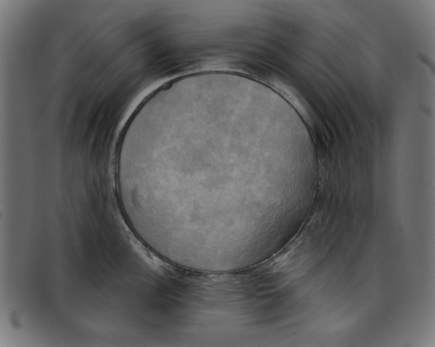 X0000098111148200804251422