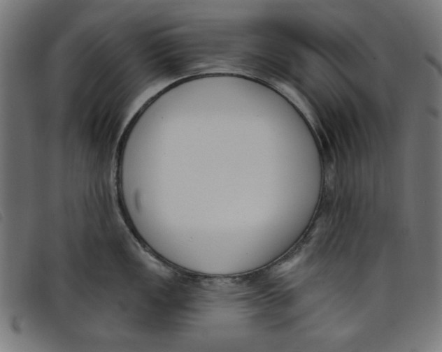 X0000098111149200804251422