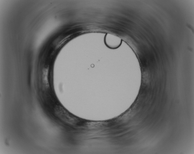 X0000098111150200804251422