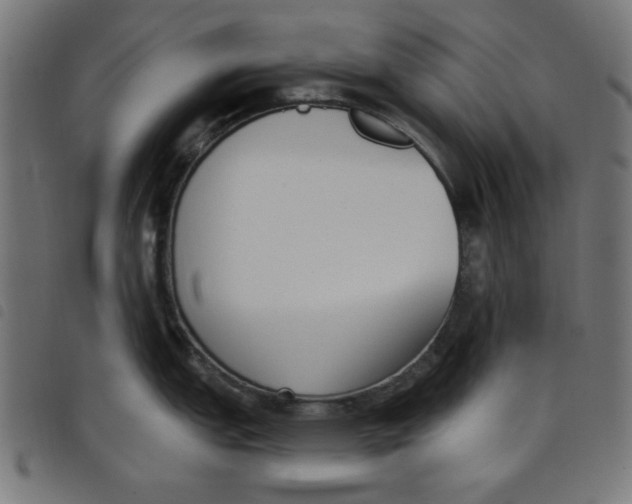 X0000098111151200804251422