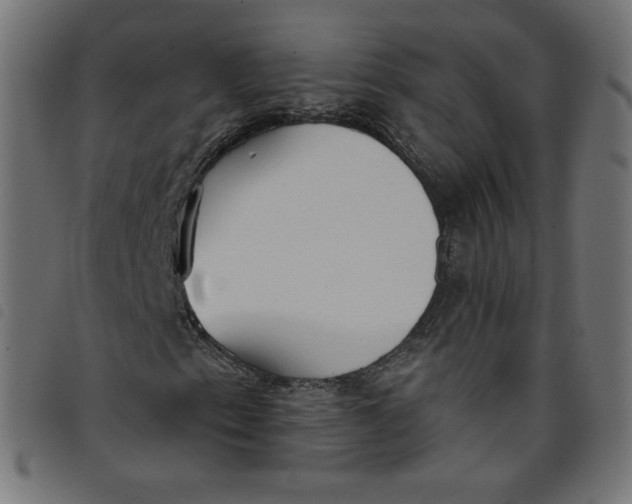 X0000098111153200804251421