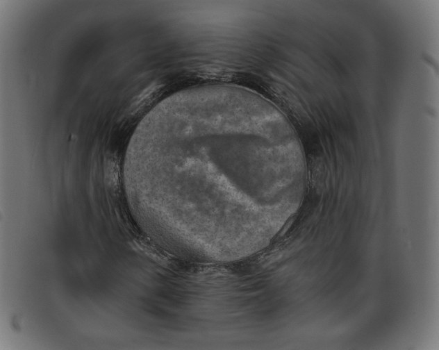 X0000098111154200804251421