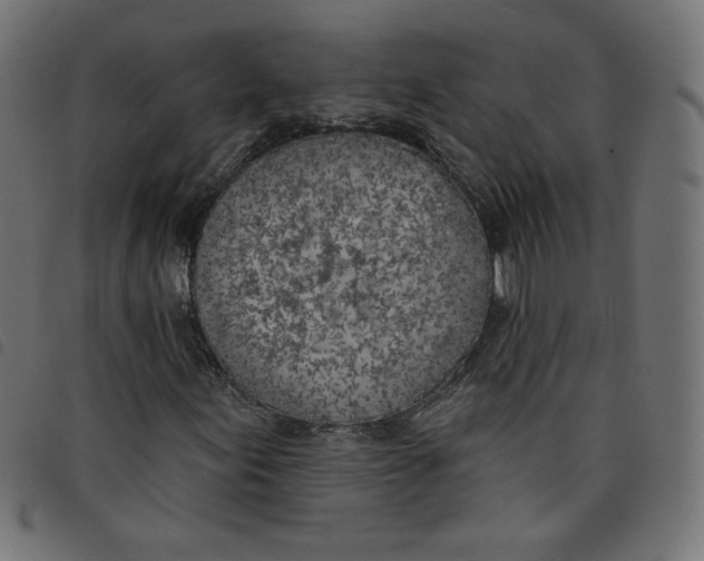 X0000098111155200804251421