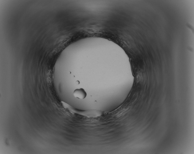 X0000098111156200804251421