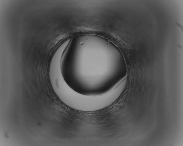 X0000098111157200804251421