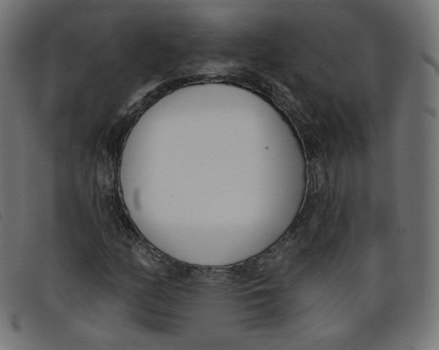 X0000098111158200804251421